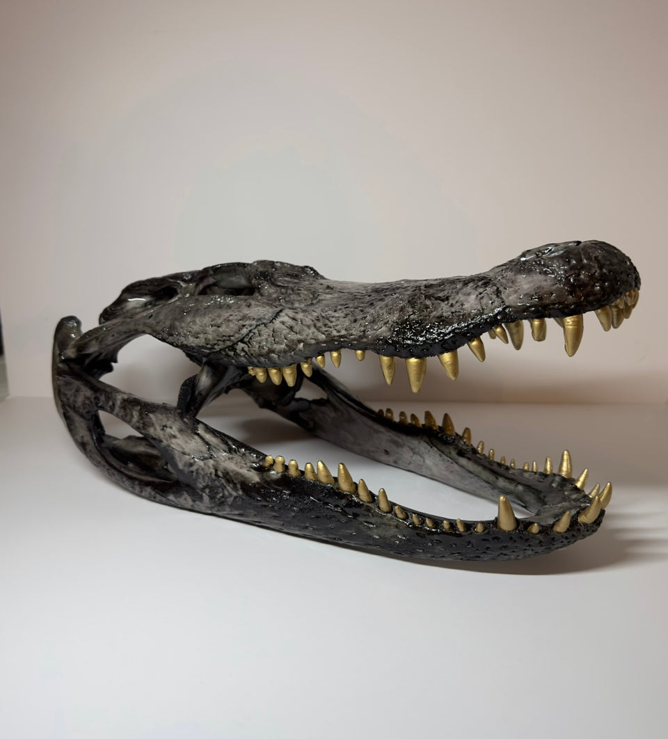 Alligator head charcoal shiny finish with gold teeth  17.5x8x7.5