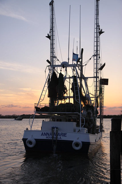 Shrimping-boat : F/V Anna Marie on the Gulf