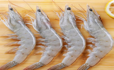 Fresh flash frozen 26/30 count Gulf shrimp ready for boiling or peeling.